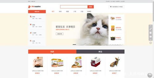 怎么做自己的网站 网站制作步骤教程