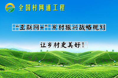 全国村网通工程:每个农村一个网站,每个农民一个网店