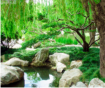 技术小白指南 轻松使用自助建站系统打造免费网站